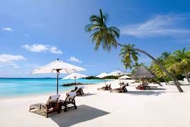 cho thue xe  tai da nang